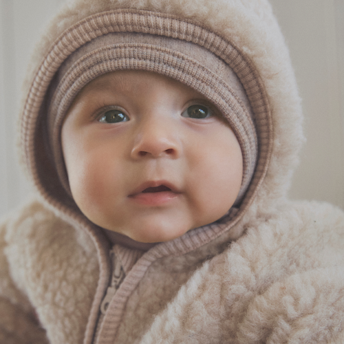 Pram Suit Wool Teddy with Lining