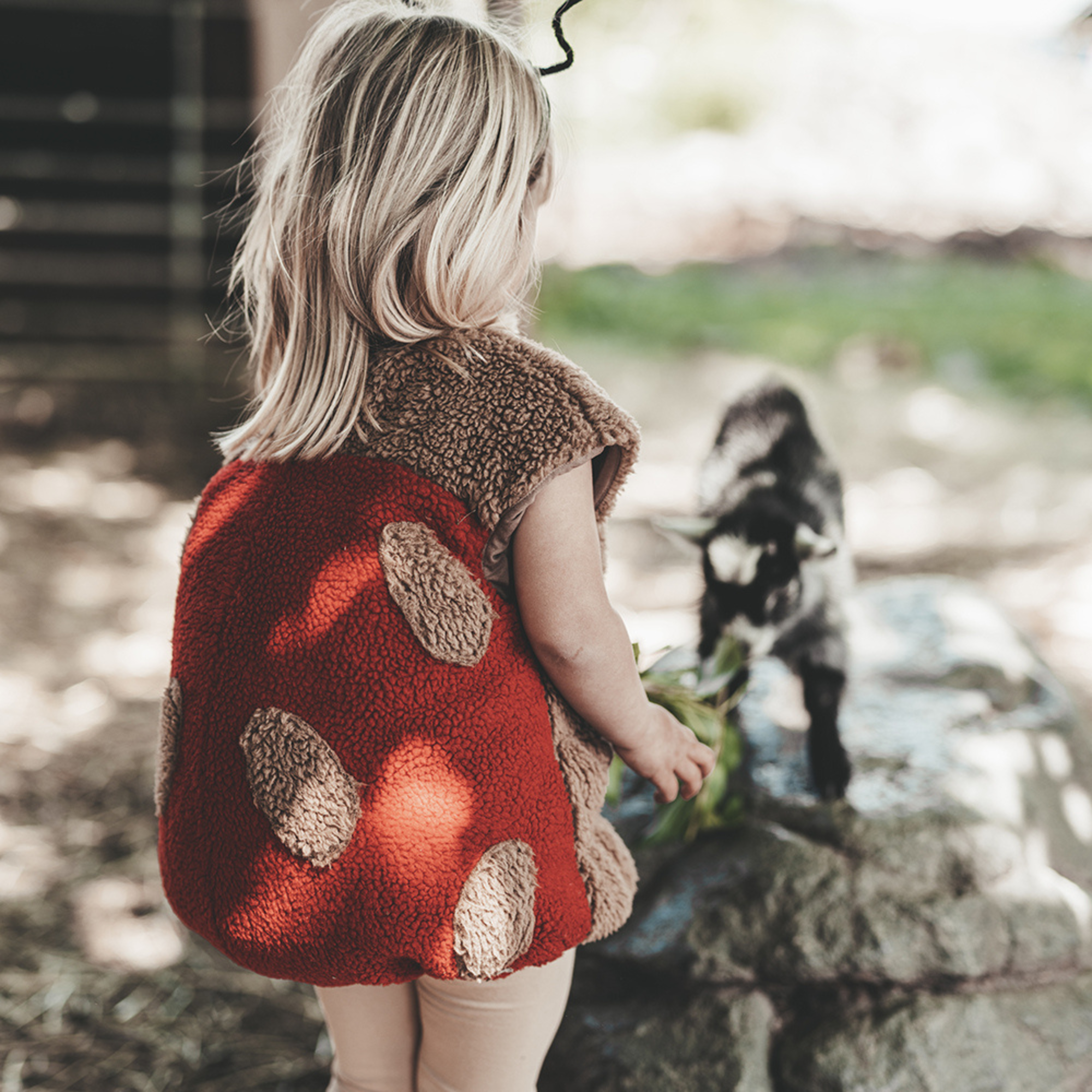 Flora Ladybug Suit