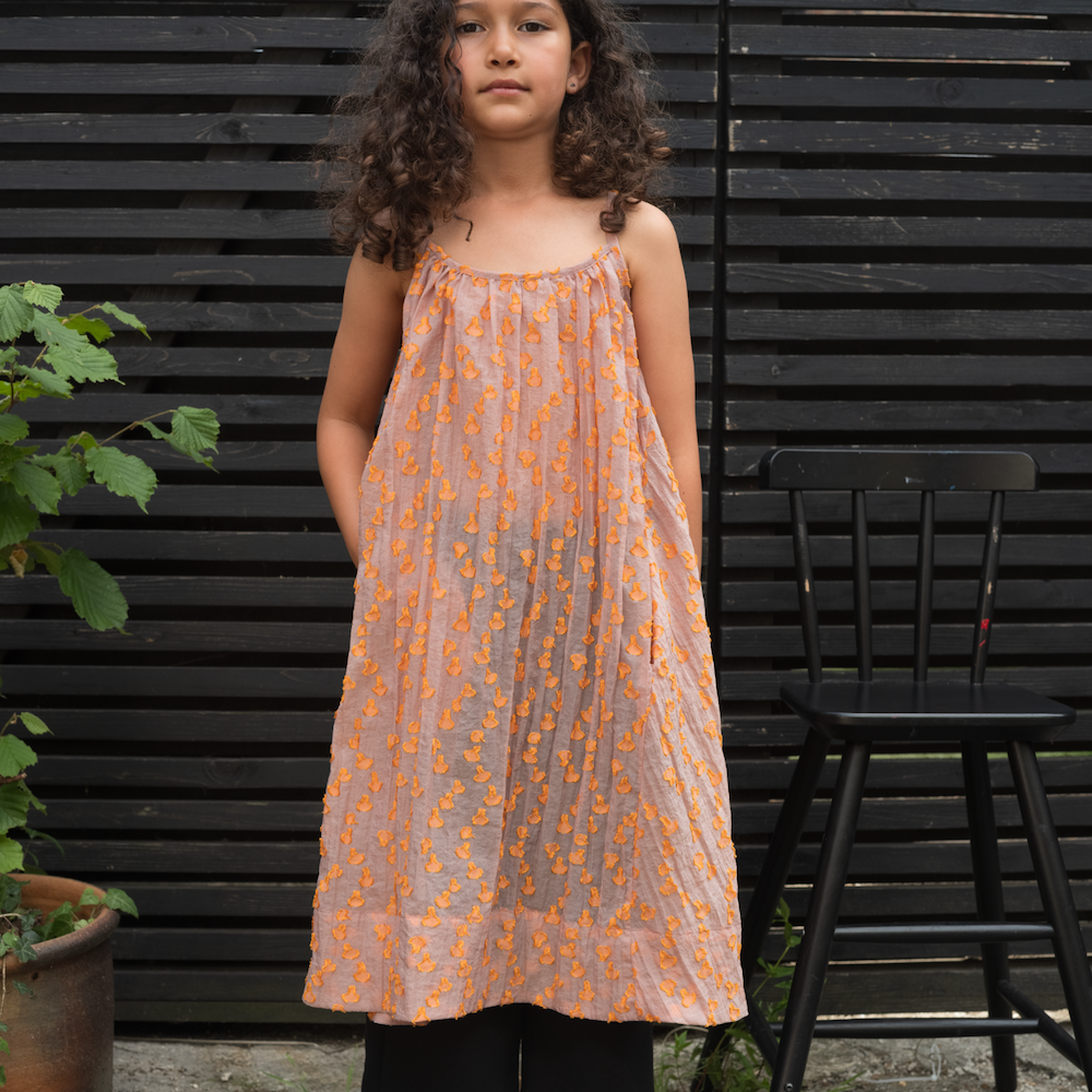 Cleo Sheer Dot A-Linie Kleid