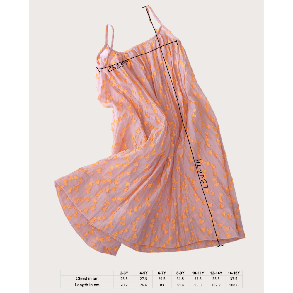 Cleo Sheer Dot A-Linie Kleid