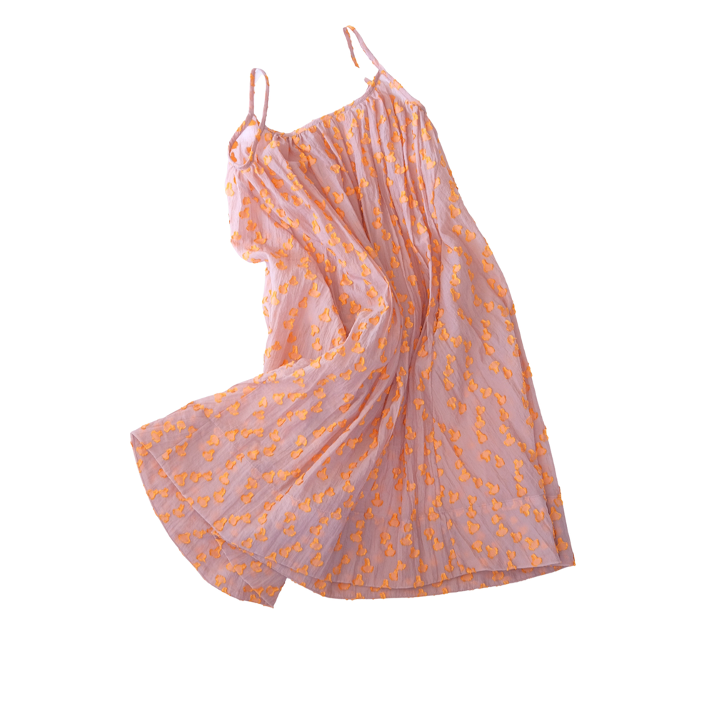 Cleo Sheer Dot A-Linie Kleid