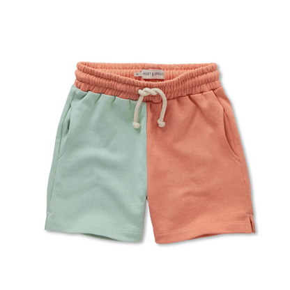 Sweatshorts Colourblock